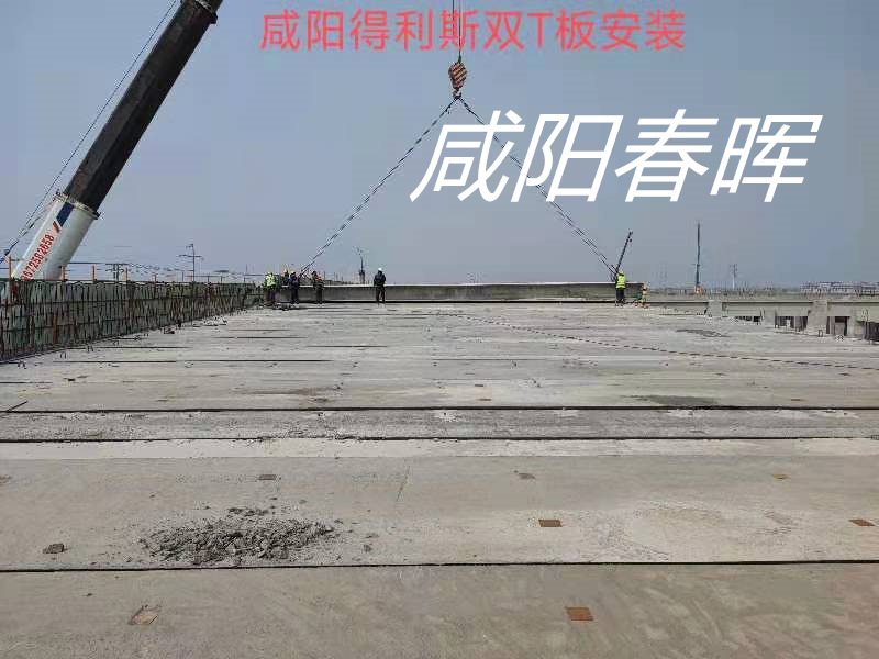 咸阳得利斯双T板安装