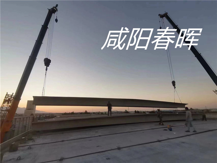 甘肃省张掖市临泽县粮食现代物流中心建设项目